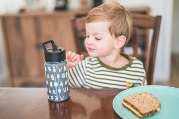 Kids Water Bottle with Straw Lid | Insulated Stainless Steel Reusable Tumbler for Toddlers, Boys - Image 3